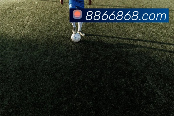 6686品牌故事